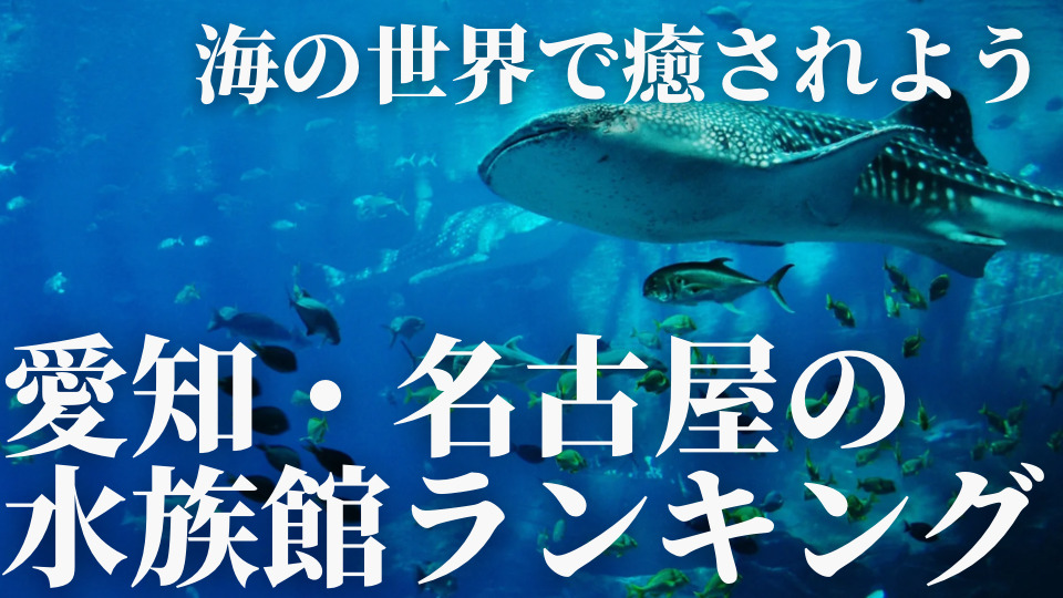 愛知名古屋の水族館ランキング