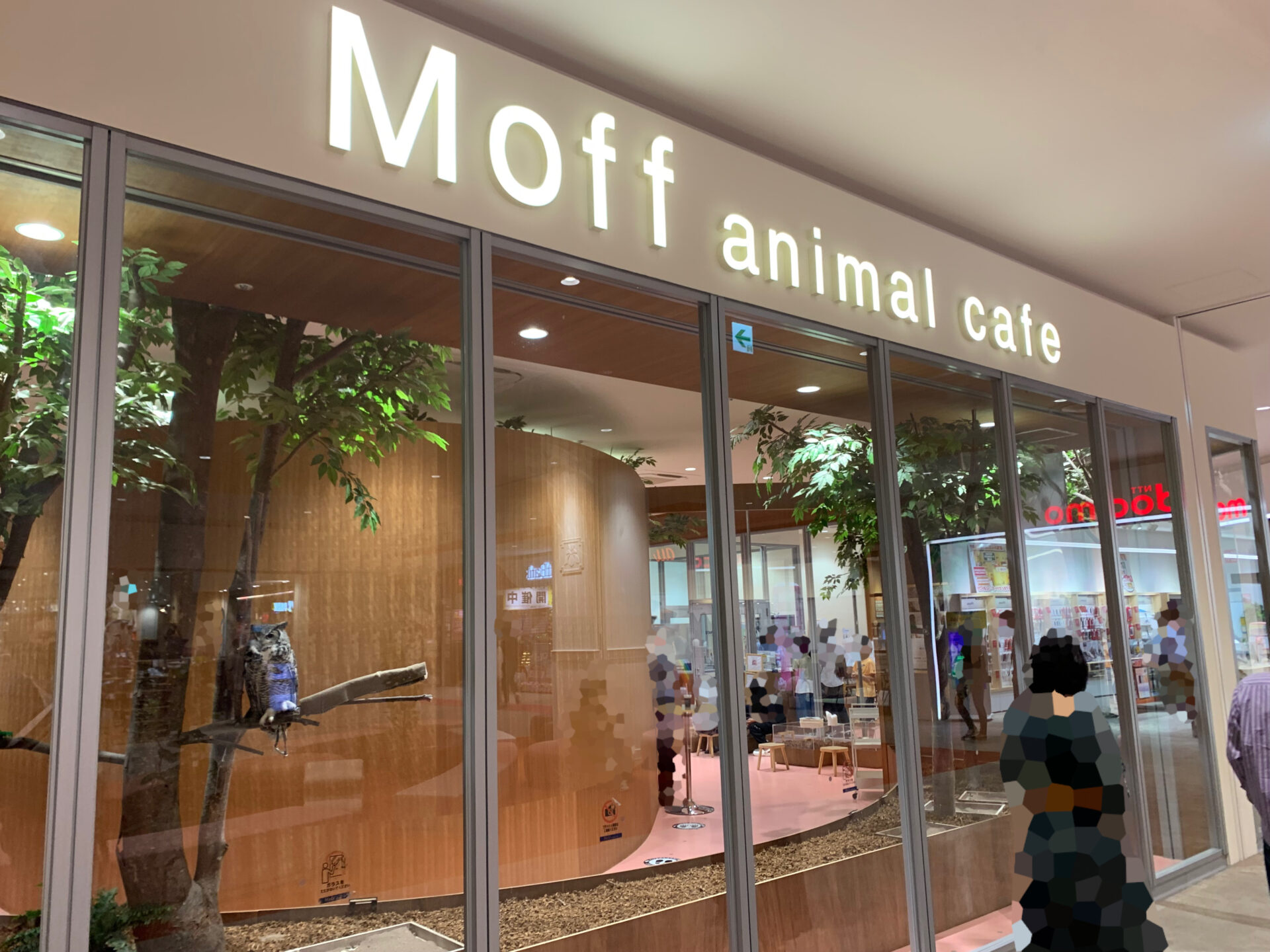 ららぽーと愛知東郷　Moff animal cafe