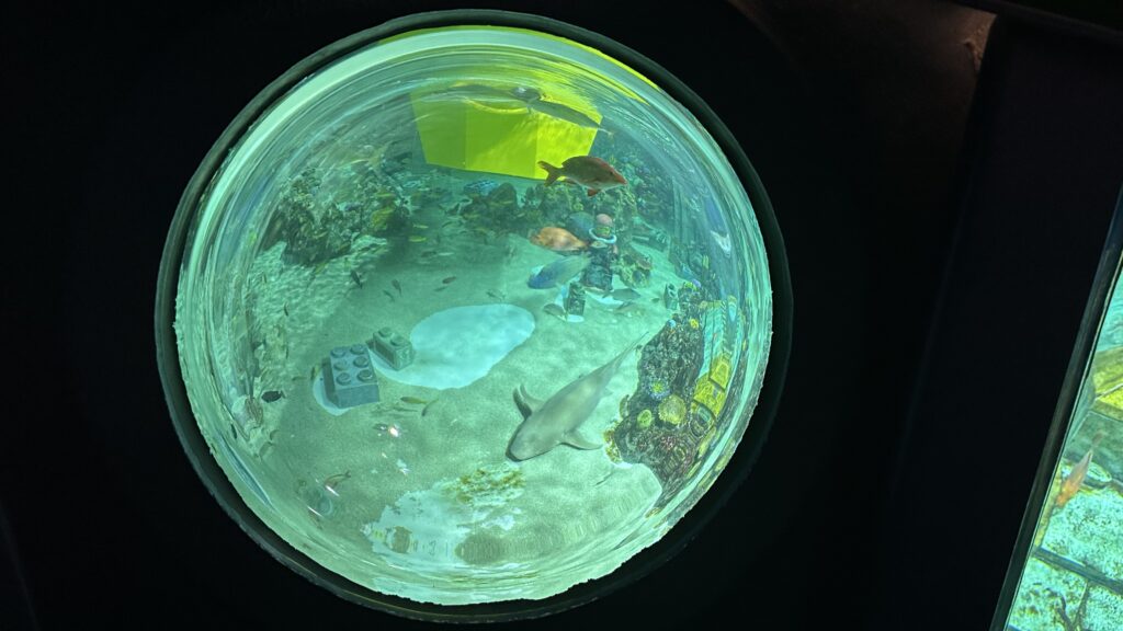 レゴランドジャパンリゾート　愛知県　サブマリンアドベンチャー　水族館の中に潜る