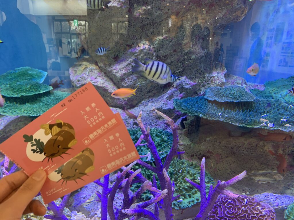 碧南海浜水族館　