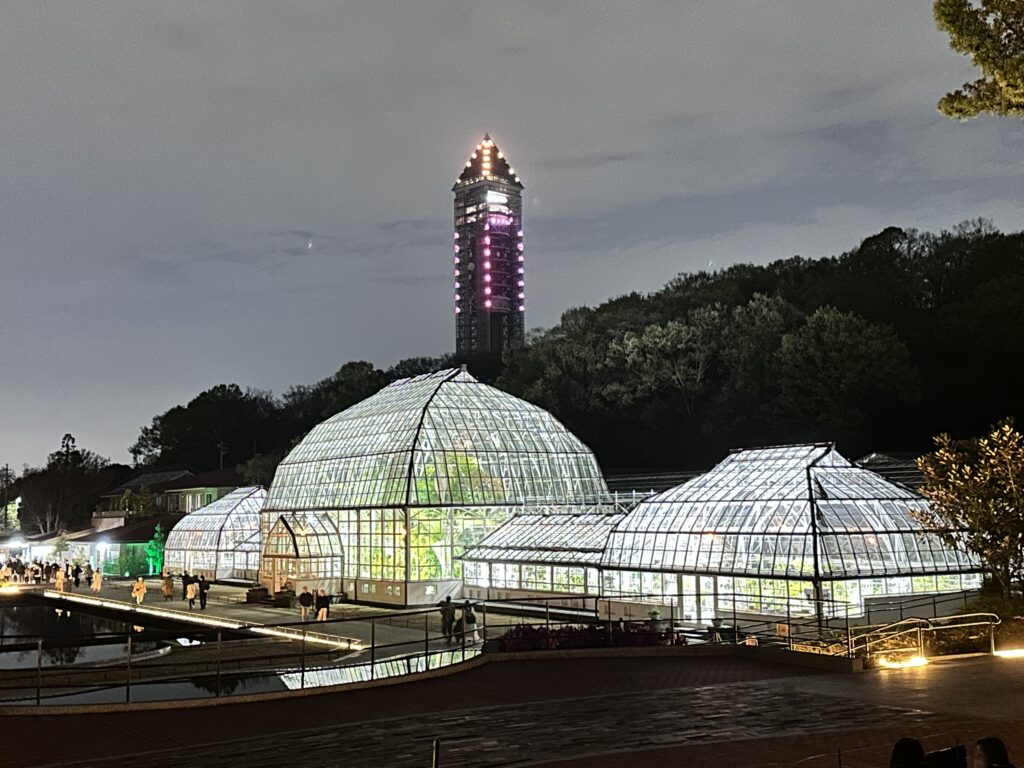 東山動植物園　宵の八重桜散歩　夜桜　重賞文化財温室　ライトアップ　春