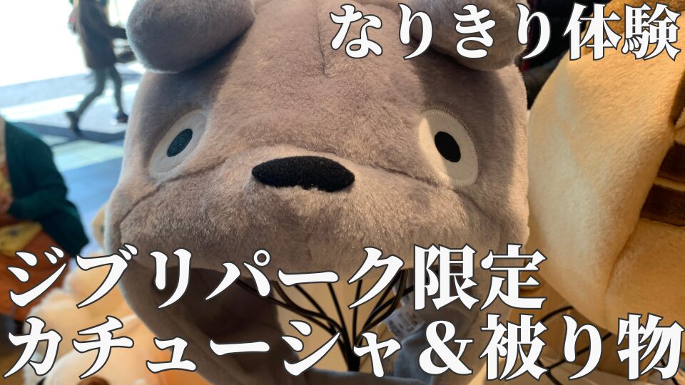 ジブリパークテーマパーク必須コスプレはOK？