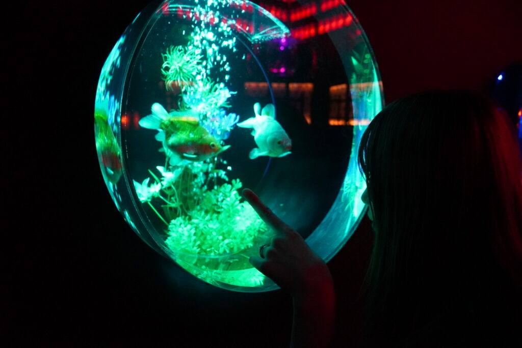 アートアクアリウム名古屋2025 写真 撮り方