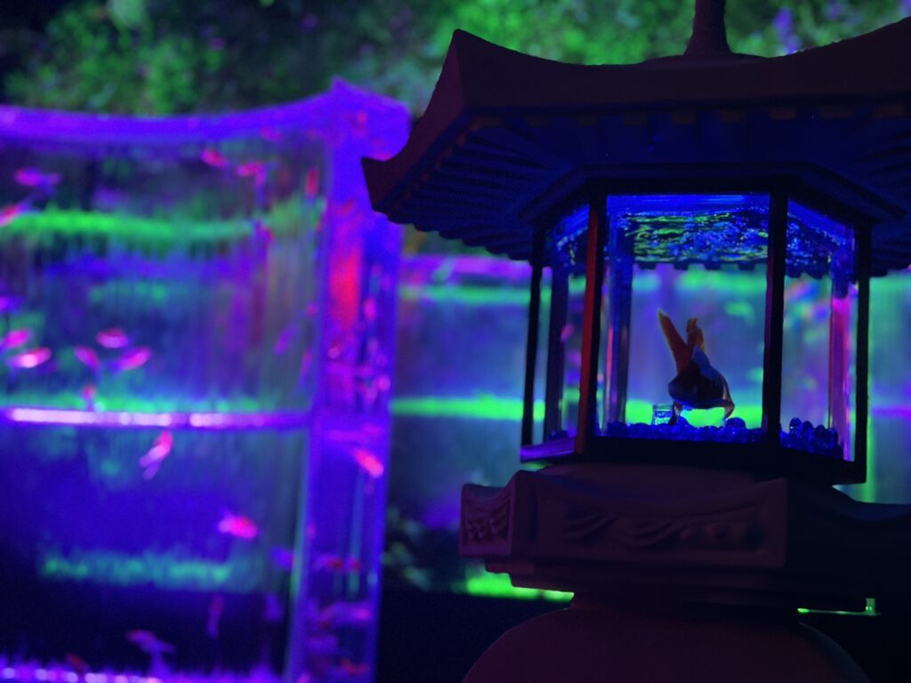 アートアクアリウム名古屋2025