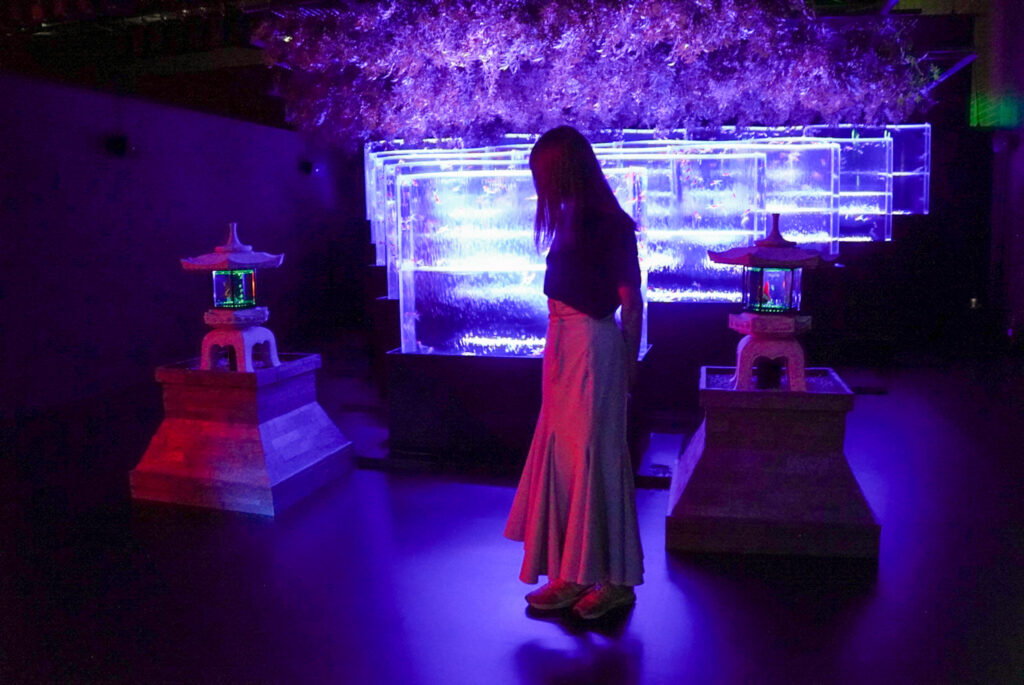 アートアクアリウム名古屋2025 写真 撮り方
