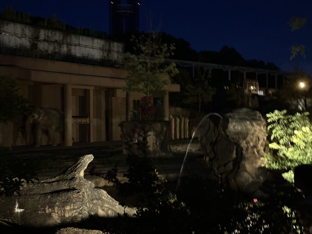東山動物園　ナイトズー　